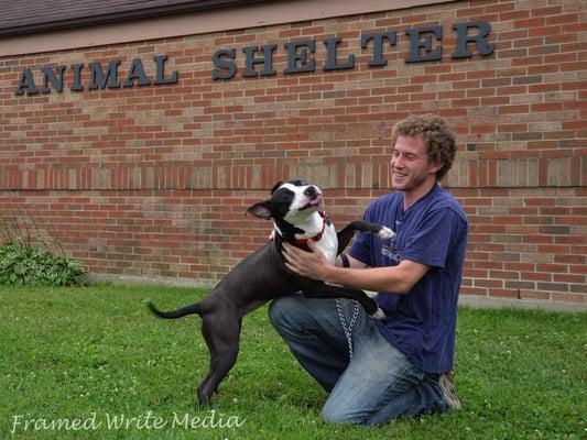 Evanston Animal Shelter