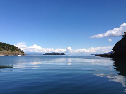 Stunning wildlife, abundant with bald eagles, harp seals, otters made our journey special. A journey of a lifetime.