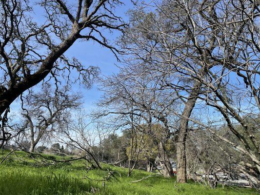 Griffith Quarry Park