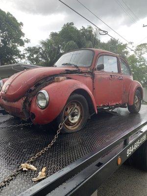 Cash for junk cars  1974 VW Beatle