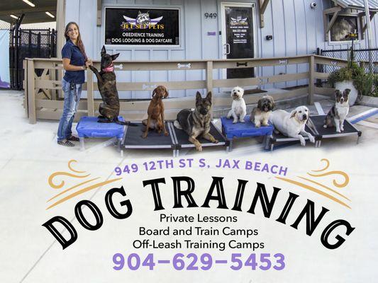 Best dog training in jax beach!