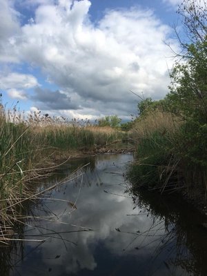 Beaver Dam near the easternmost part of the trail