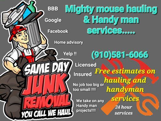 Mighty Mouse Hauling & Handyman Services