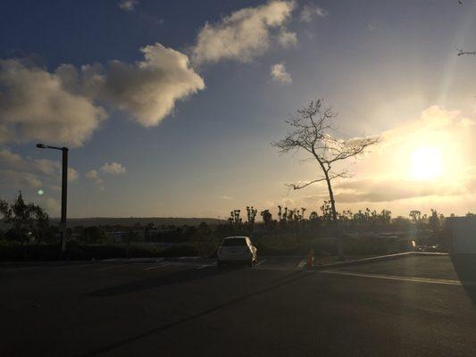 Afternoon scenery from the parking lot of the library. (feb. 2017)