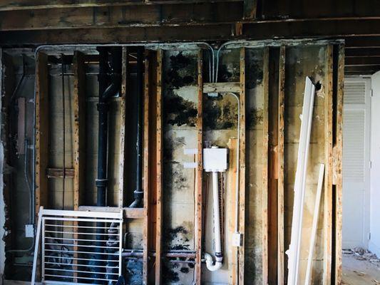 Inside of the units, that got destroyed all the walls inside have Mildew, mold after Hurricane Irma August 30,2017. Water leaks