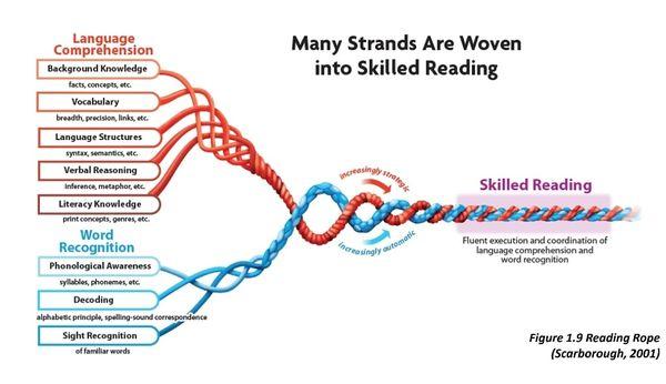 The science of Reading