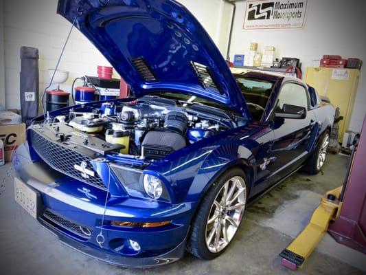 Shelby GT500 Super Snake