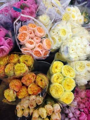 Beautiful garden roses!!