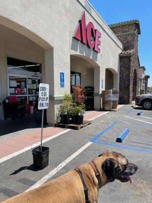 We love dogs visiting with well-behaved owners at Oakley Ace.