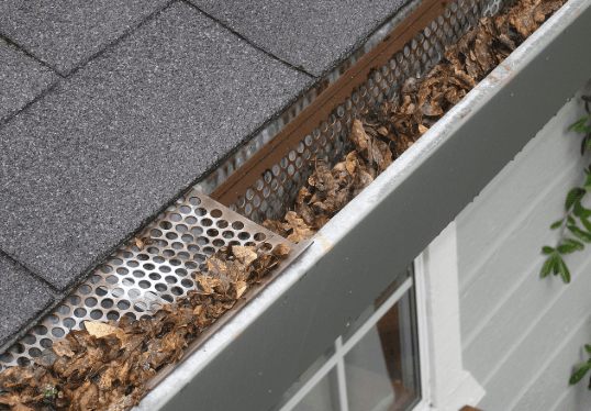 Gutter Cleaning & Gutter Guard Services