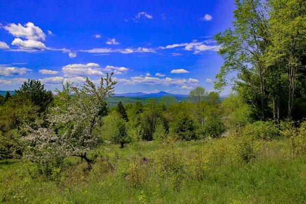 Building lot with distant views of Camel's Hump in Barre, VT sold by The Land & Lake Guys Team at Preferred Properties