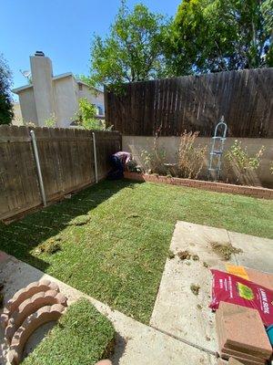 Fresh sod installed