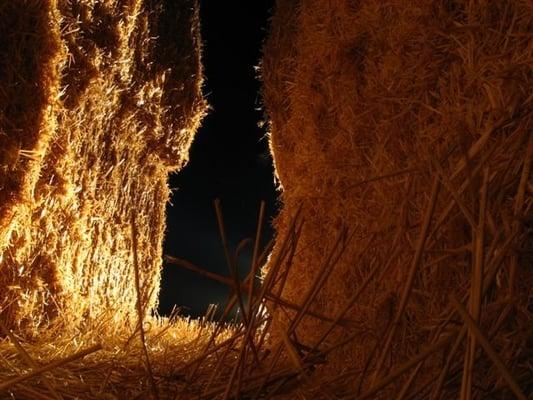 Haunted Straw Maze