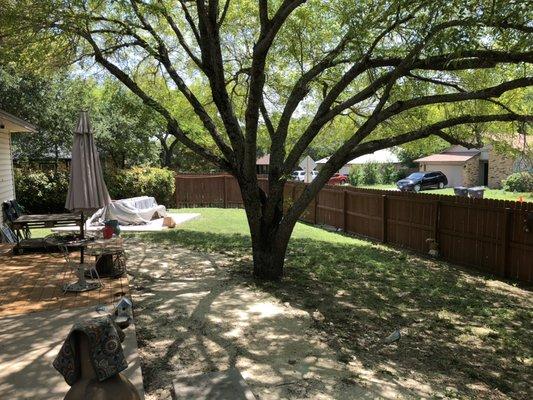 Backyard cleanup perfect for backyard hangouts