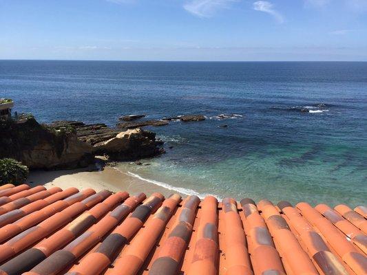 Bird exclusion, Laguna Beach.