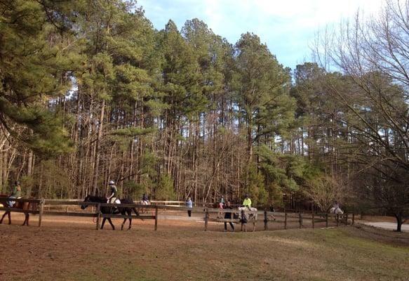 Oakwood Stables