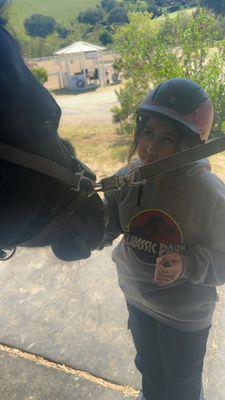 Helping brush the horse softly.