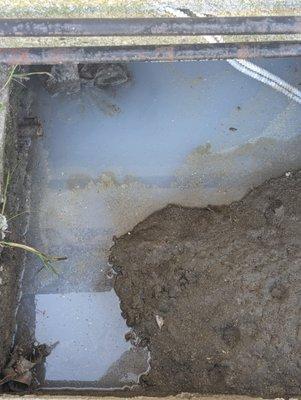 Sewage sitting under apartments, notified a month ago