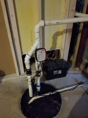 Twin pump battery backup system