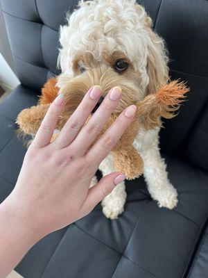 french tip manicure