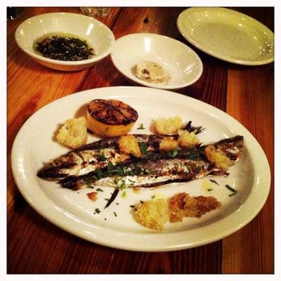 Sardine special appetizer w/bone marrow butter and other very delicious things ! I love !