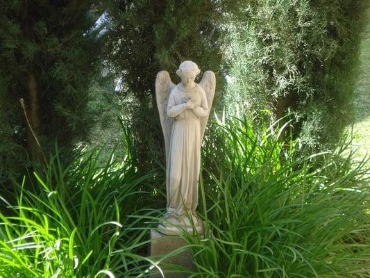 Angel  in the garden