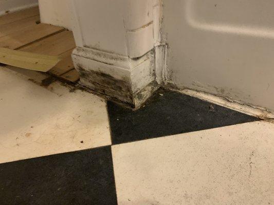 McLeod "We didn't see any mold at the house when we inspected it"