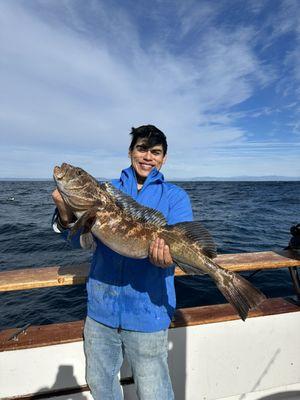 Lingcod!