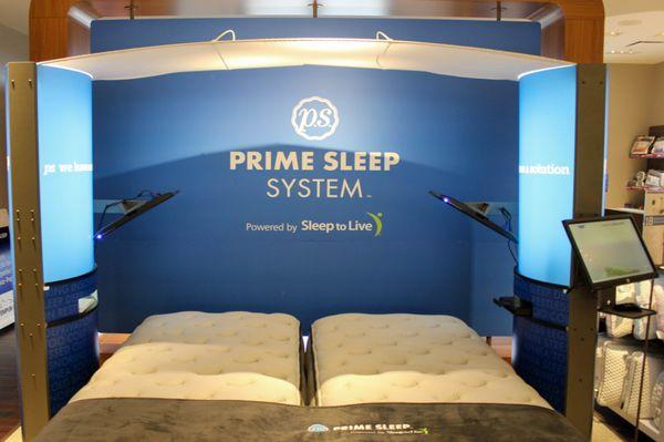 The Prime Sleep System - come get your free Personal Support Factor today!