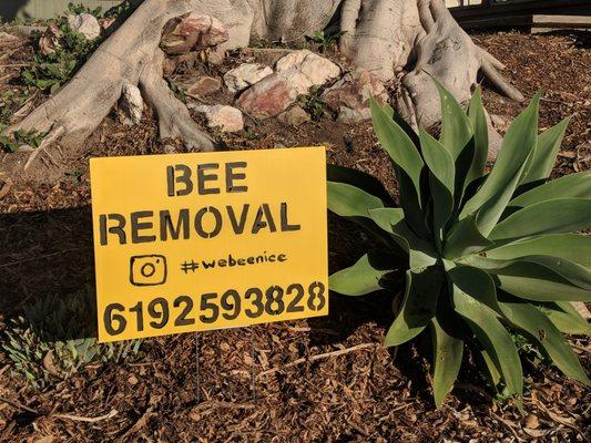 San Diego Beekeeping