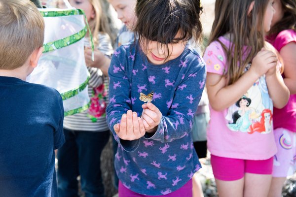 Waterstone Preschool releasing butterflies into the world!