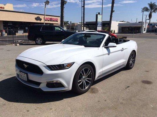 Mustang Convertible - perfect car for sunny California