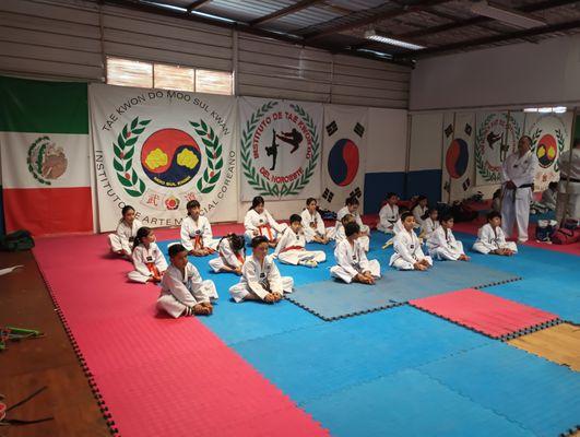 Tae Kwon Do