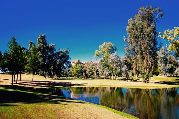 Stripe Show Golf Club