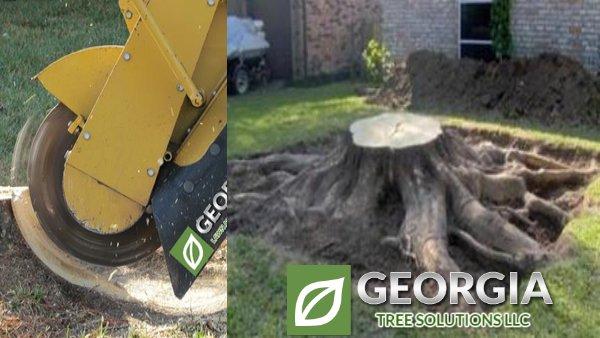 Stump Grinding & Removal