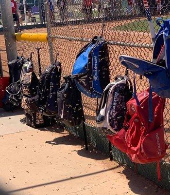 Bees swarm Los Alimitos Youth Baseball Field