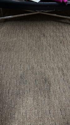 Mystery stain on the carpet floor