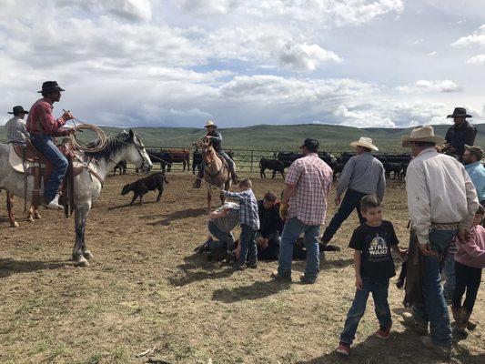 Just Idaho boys doing what we do, another day at the Storey ranch with the Storey boy's  throwing down the brand.