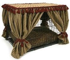 Exquisite Kennel Couture
from Decadent DIgs!