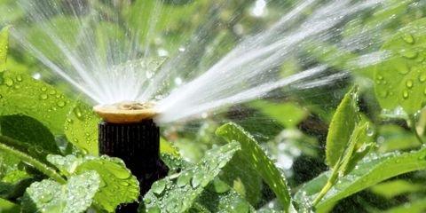 Do's & Don'ts of Using a Drip Irrigation Sprinkler System