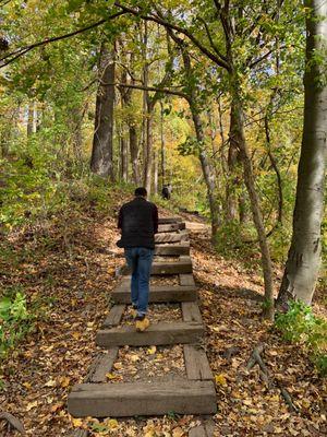 Worthington State Forest