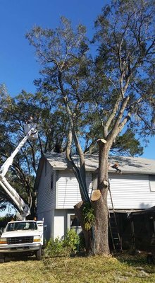 JW Tree Work Inc.