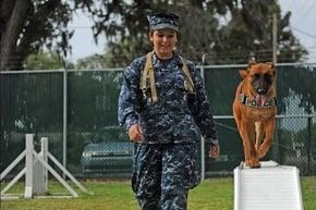 National K9 Training Academy