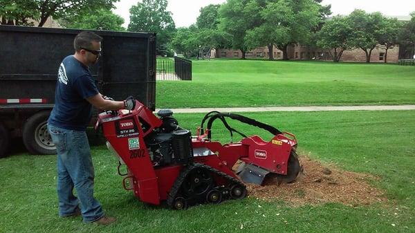 Stump removal