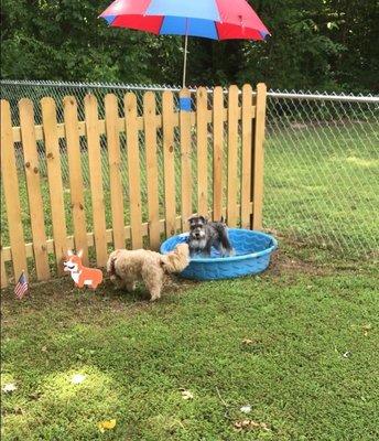 Pool time.