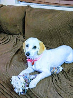 After her haircut with her bandana.