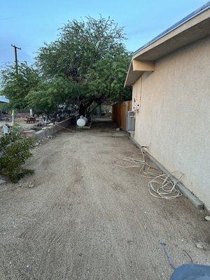 After Photo of Tree Trim & Weeding.