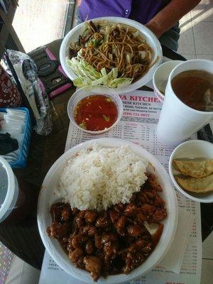 Beef Lo Mein and Chicken Teriyaki Very Large for the 'Small' portion.