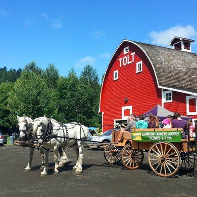 Carnation Farmers Market, now at King County's Tolt-MacDonald Park @ Red Barn Shelter