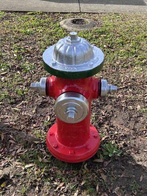 Hydrant at Station 9 Columbia Fire  Dept.